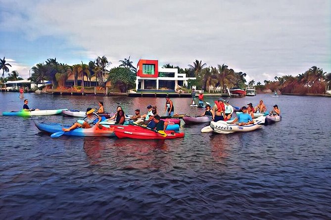 Kayak Rental: Explore Mangroves and Self-Navigated River Eco Paddle - What your one-hour outing looks like