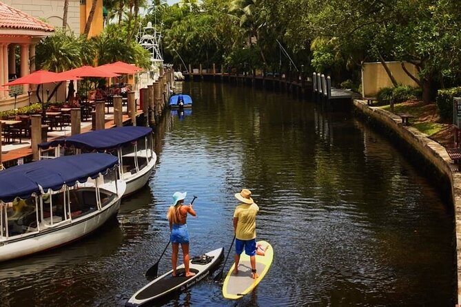 Kayak Rental: Explore Mangroves and Self-Navigated River Eco Paddle - Mangroves, fish, homes, and yachts