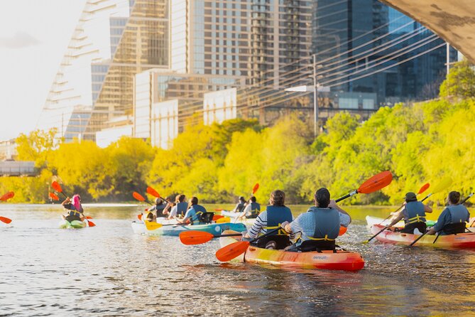 Kayak Rentals on Lady Bird Lake - Paddling Beneath the Congress Avenue Bat Bridge