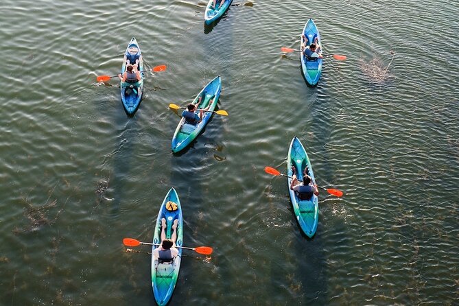 Kayak Rentals on Lady Bird Lake - Is the Rental Good Value?