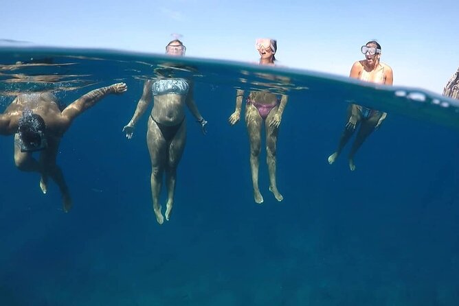 Kayak Safari with Dolphin and Turtle Watching in Guaza - The guide makes the difference