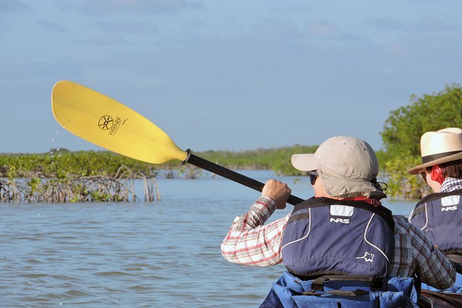 Kayak Sian Ka’an Biosphere Reserve Sunset Tour - Who should book this experience