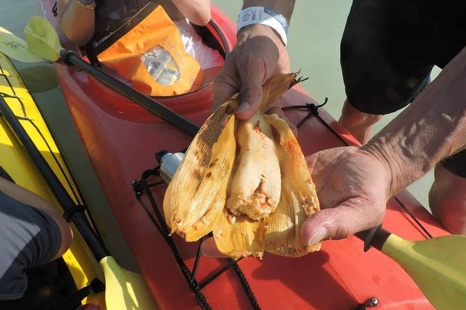 Kayak Sian Ka’an Biosphere Reserve Sunset Tour - Why the mangroves are the real attraction