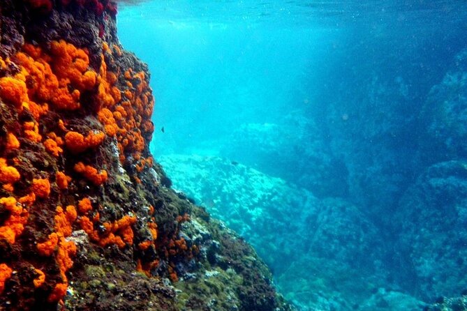 Kayak & Snorkel Tour in Cerro Gordo Natural Park, La Herradura - Paddling beneath the cliffs of Cerro Gordo