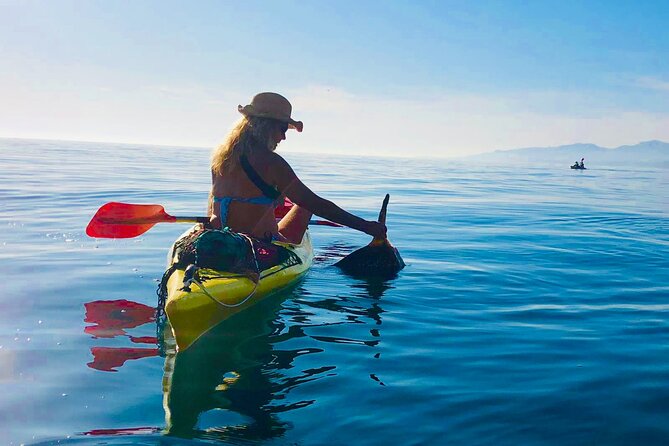 Kayak & Snorkel Tour in Cerro Gordo Natural Park, La Herradura - Snorkeling can range from excellent to ordinary