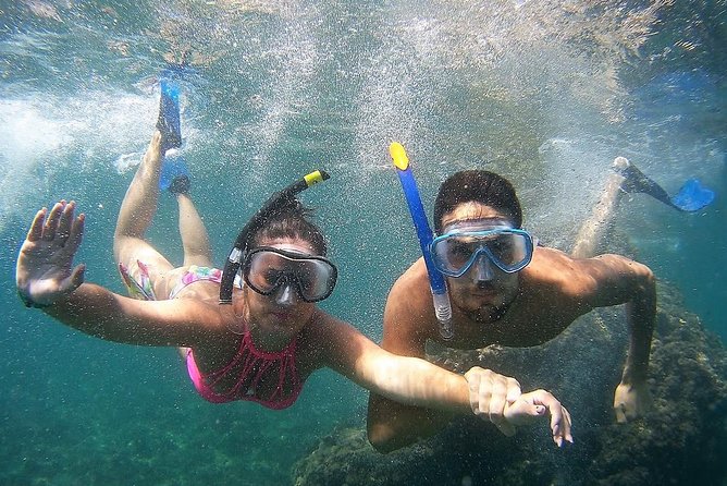 Kayak & Snorkel Tour in Cerro Gordo Natural Park, La Herradura - What two and a half hours feels like on the water
