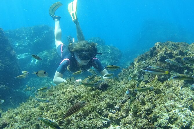 Kayak & Snorkel Tour in Cerro Gordo Natural Park, La Herradura - The guides make a practical difference
