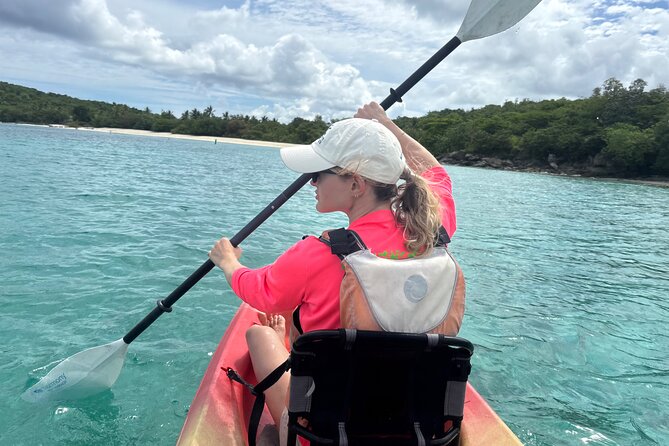 Kayak & Snorkel with Sea Turtles, National Park, St. John - What the guide adds to the experience