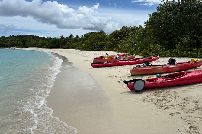 Kayak & Snorkel with Sea Turtles, National Park, St. John - Three hours or the longer version