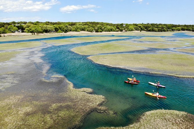 Kayak The Creek Nature Tour - A quiet paddle through Cape Cod’s Great Marsh