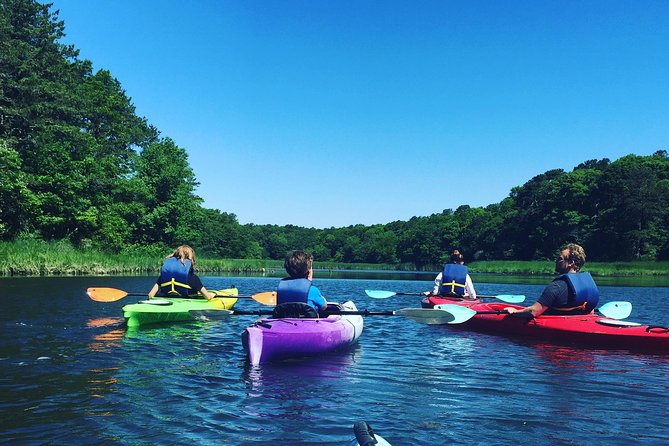 Kayak The Creek Nature Tour - What happens at the 10:30 a.m. meeting point