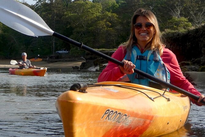 Kayak The Creek Nature Tour - A useful choice for families and beginners