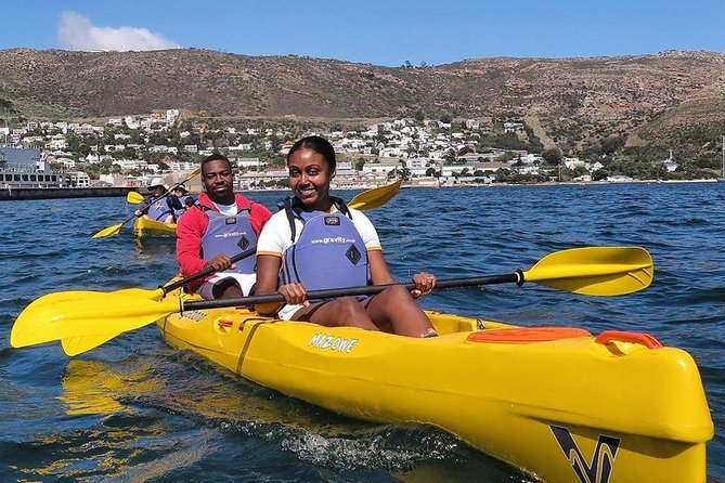 Kayak to the penguins in Simons Town - Why kayaking is a good way to see Simon’s Town
