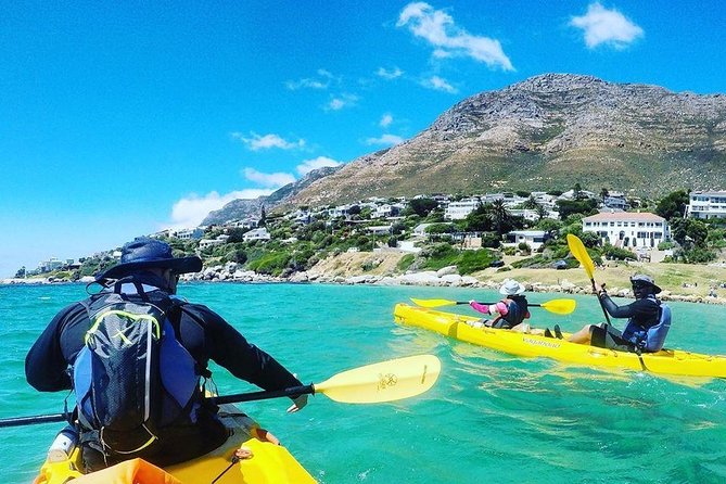 Kayak to the penguins in Simons Town - Which departure time should you choose?