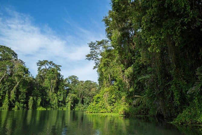 Kayak Tour - Key points for your Tortuguero morning