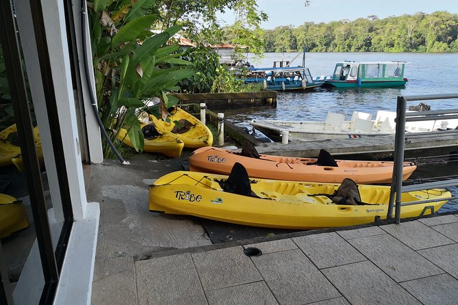 Kayak Tour - Why a kayak works so well in Tortuguero