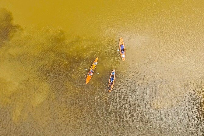 Kayak Tour - What you may see along the canals