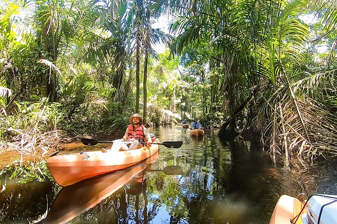 Kayak Tour - The three-hour route and its physical demands