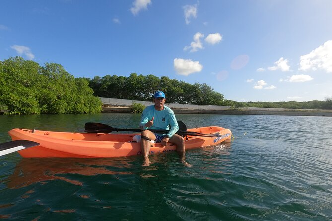 Kayak Tour at Mangel Halto and Spanish Lagoon - How much value do you get for $95?