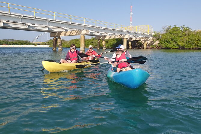 Kayak Tour at Mangel Halto and Spanish Lagoon - Who will enjoy this Aruba kayak tour?