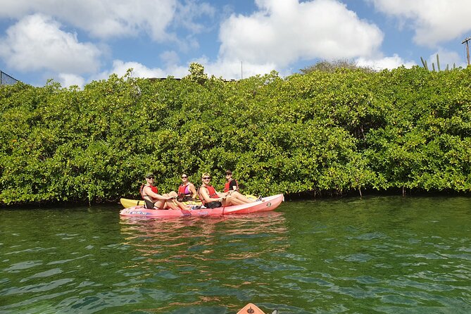 Kayak Tour at Mangel Halto and Spanish Lagoon - Snorkeling near the reef