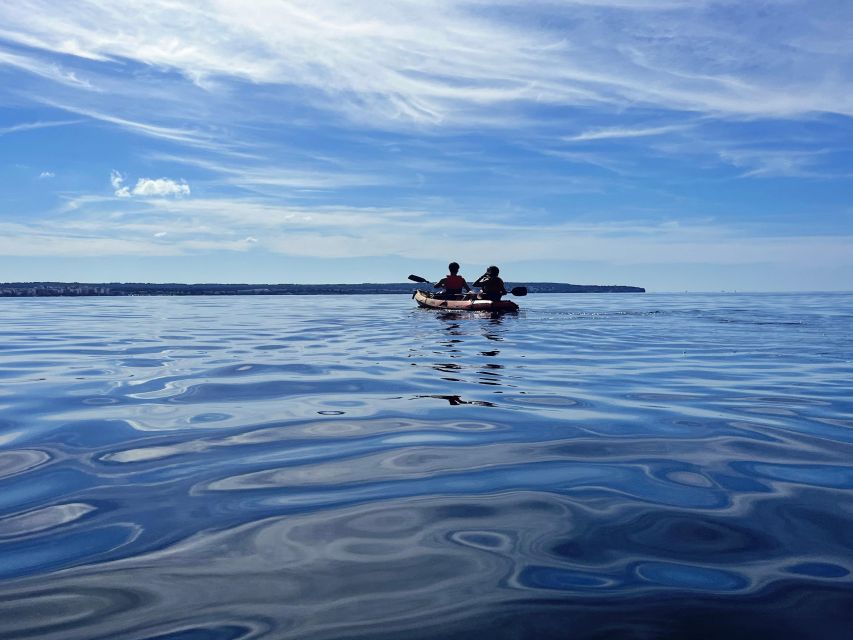 Kayak Tour Bay of Palma - What the guide adds to the trip