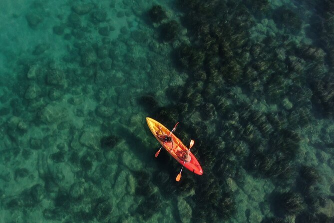 Kayak Tour: From Cala Manbrù to Torre Salsa Reserve - Why Torre Salsa works so well from a kayak