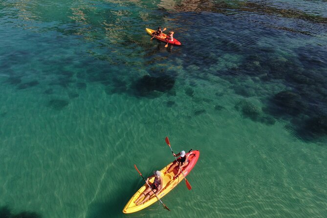 Kayak Tour: From Cala Manbrù to Torre Salsa Reserve - A few practical points before booking
