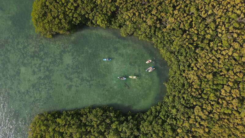 Kayak Tour in Cancun with Photos included - Key Points Before You Paddle