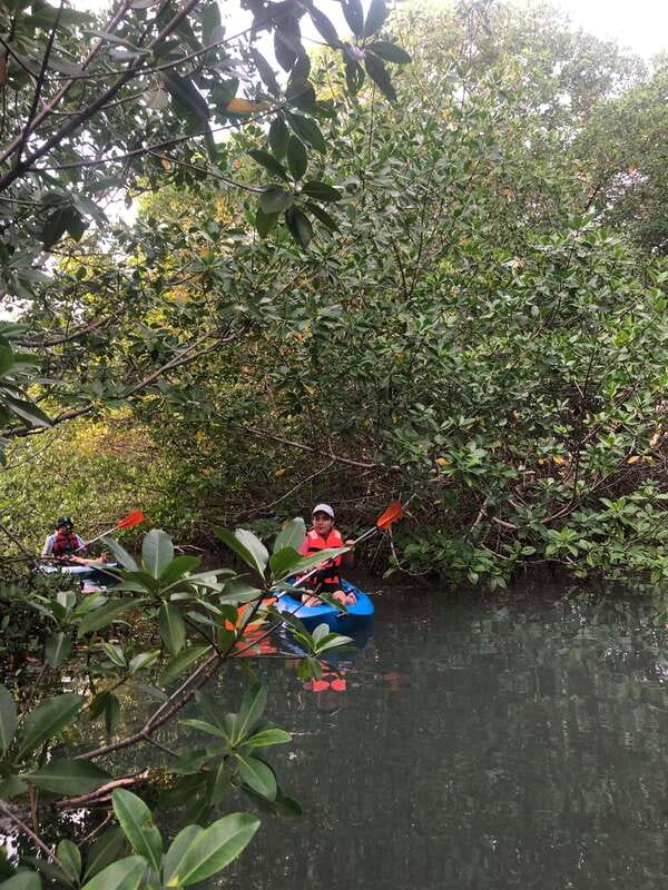 Kayak Tour in Cancun with Photos included - Morning Paddle or Sunset Outing?