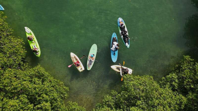 Kayak Tour in Cancun with Photos included - Why Nichupté Lagoon Is Cancun’s Better Quiet Escape