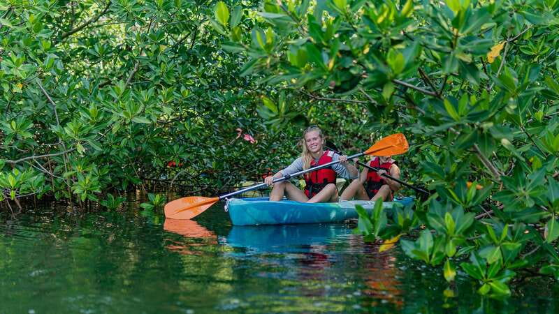 Kayak Tour in Cancun with Photos included - Meeting at Marina Kaybal at Kilometer 3.5