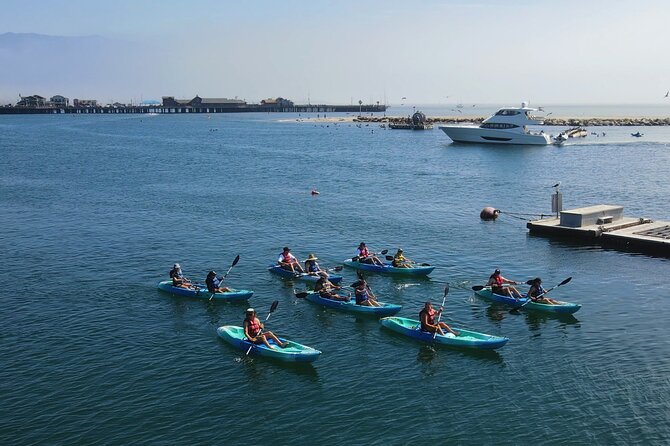 Kayak Tour of Santa Barbara with Experienced Guide - Meeting at West Beach near Santa Barbara Harbor