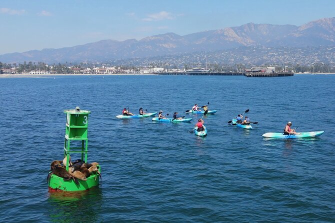 Kayak Tour of Santa Barbara with Experienced Guide - Choosing between single and tandem kayaks