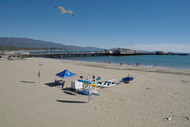 Kayak Tour of Santa Barbara with Experienced Guide - Wildlife watching without leaving the harbor