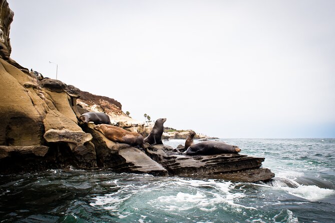 Kayak Tour of the 7 Caves - Seeking Sunny Jim’s, Arch, and Clams’ Caves
