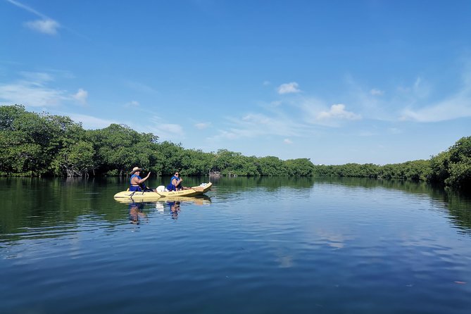 Kayak TOUR POR Laguna Nichupte Cancun - How hard is the paddling?