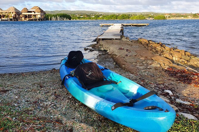 Kayak Tour to Seaglass Island - A guide-led outing with a personal feel