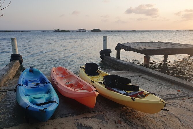Kayak Tour to Seaglass Island - Is the $80 price fair?