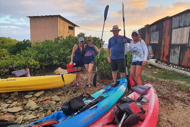 Kayak Tour to Seaglass Island - Who should book this Aruba outing?