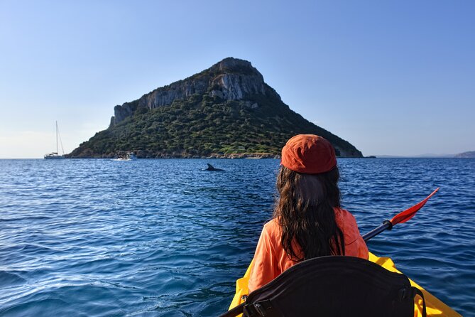 Kayak tour with aperitif and dolphins - Key points to know before booking