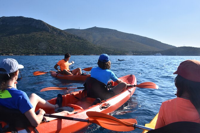 Kayak tour with aperitif and dolphins - Why this kayak trip is different from a standard boat outing