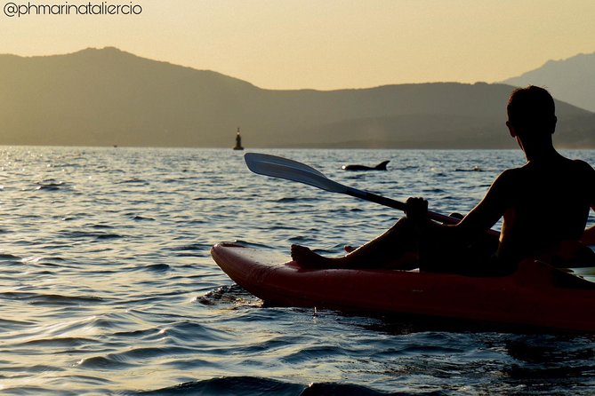 Kayak tour with aperitif and dolphins - Cala Moresca for fish, starfish, and a first swim