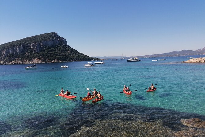 Kayak tour with aperitif and dolphins - Guides who help beginners and families