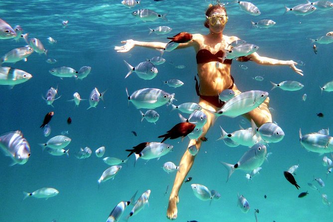 Kayak Tour with Snorkeling and Local Aperitif - What this Olbia-area kayak tour is really like