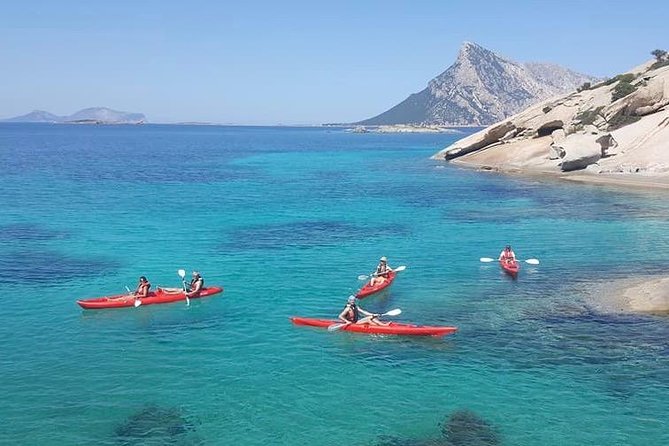 Kayak Tour with Snorkeling and Local Aperitif - Paddling through Tavolara and Punta Coda Cavallo