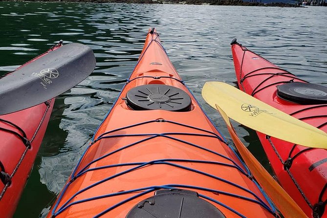 Kayak Tours - Key points to know before you book