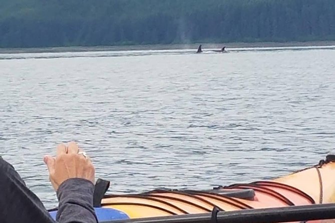 Kayak Tours - The old logging camp and the working side of Hoonah