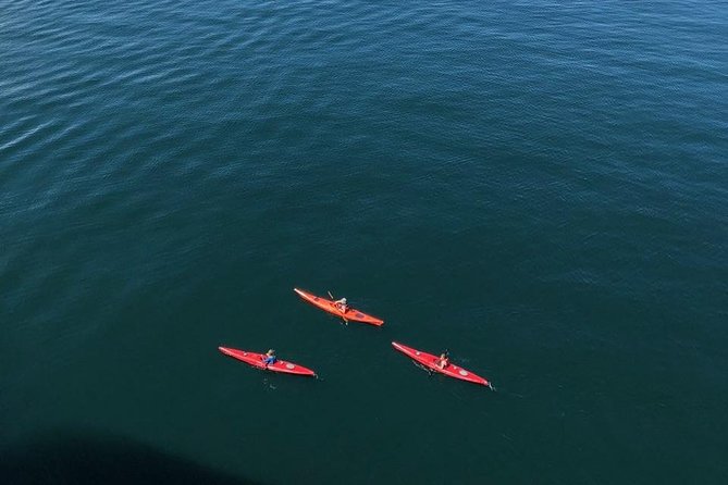 Kayak Tours - Meeting at Icy Strait Point without missing the departure