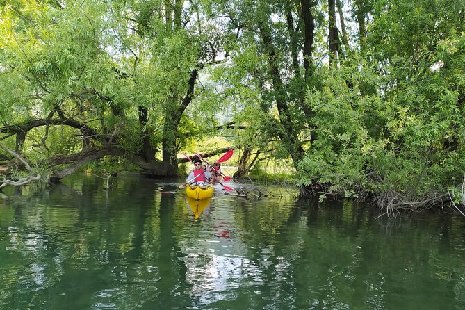 Kayak trip on Adda River North Park - A gentle outdoor outing, not a race